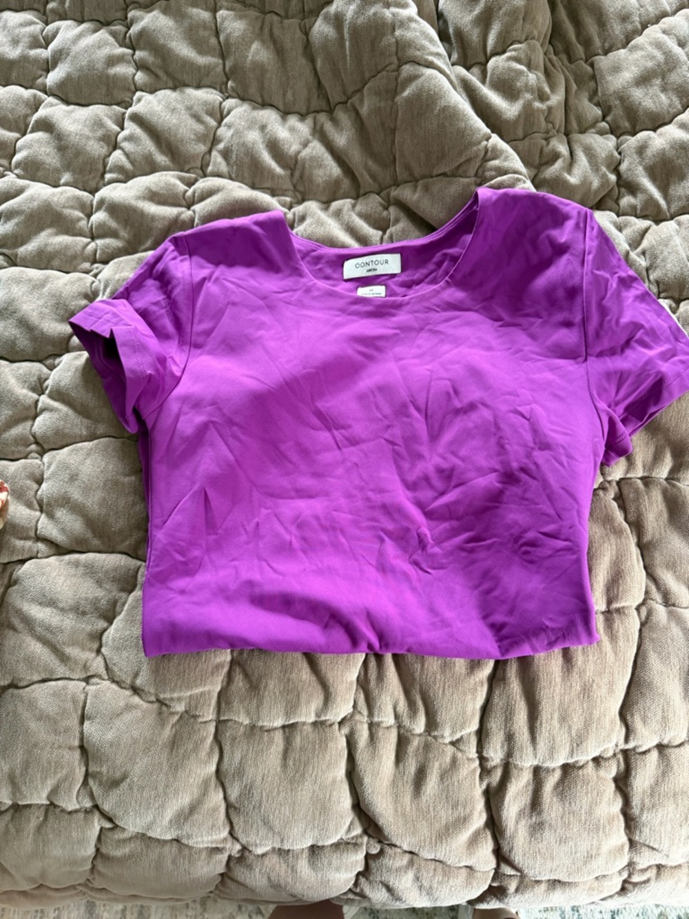 Aritzia Contour purple Crewneck Tee